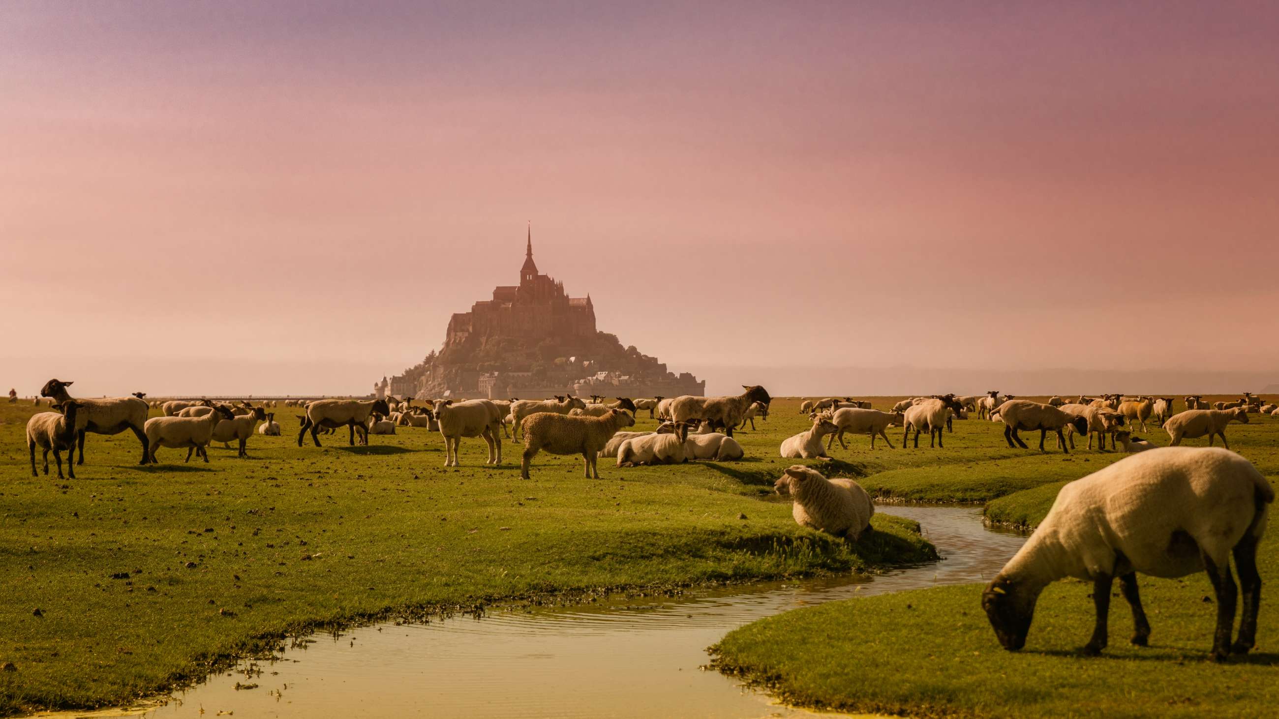 Normandy Private Tours from Bayeux and Mont Saint Michel tours